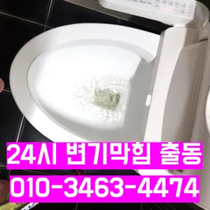 변기막힘